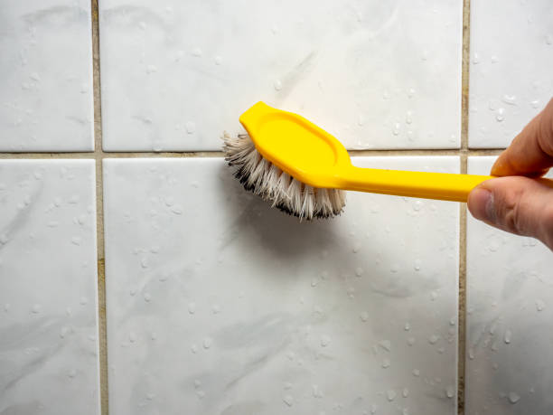 Best Mold Remediation  in Grayling, MI