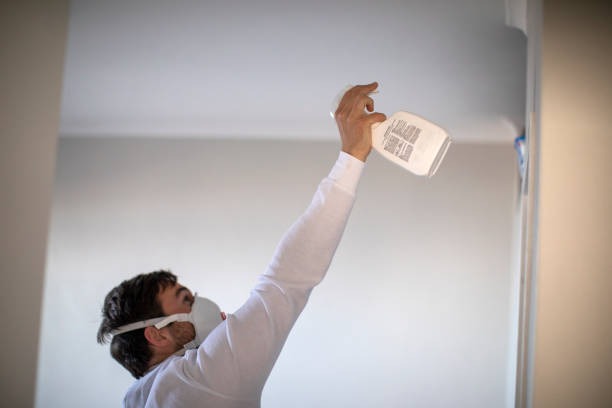Best Toxic Mold Removal  in Grayling, MI