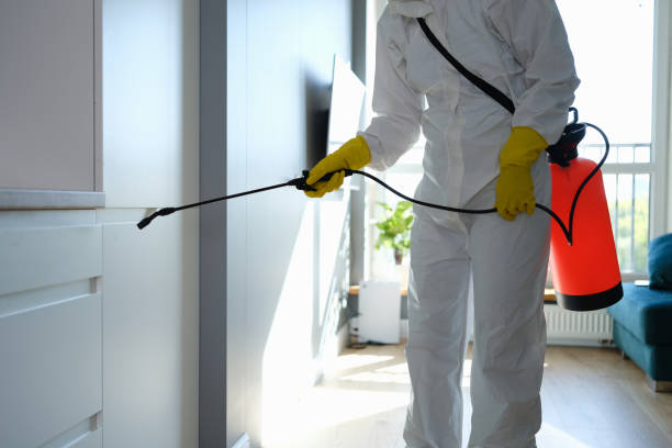 Best Professional Mold Removal  in Grayling, MI