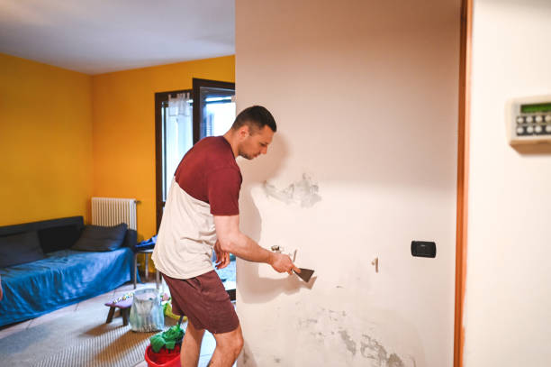 Best Certified Mold Removal  in Grayling, MI