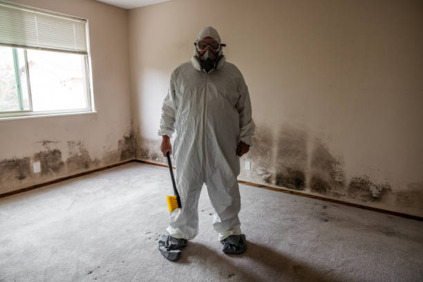 Best Mold Testing  in Grayling, MI